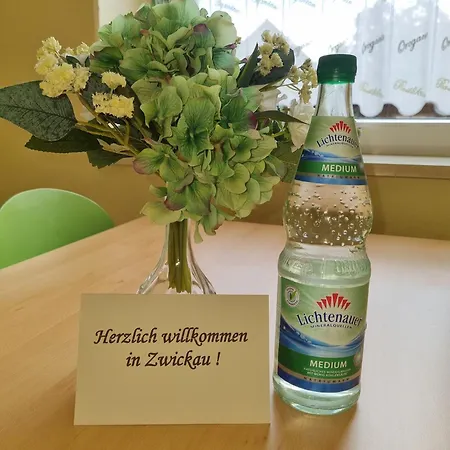 Im Zentrum Zwickaus *