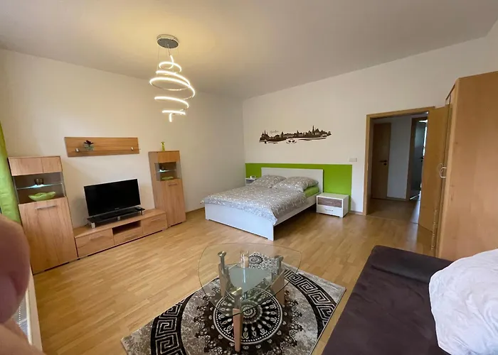 Im Zentrum Zwickaus شقة *